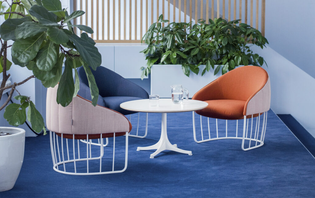 Sancal tonella 1