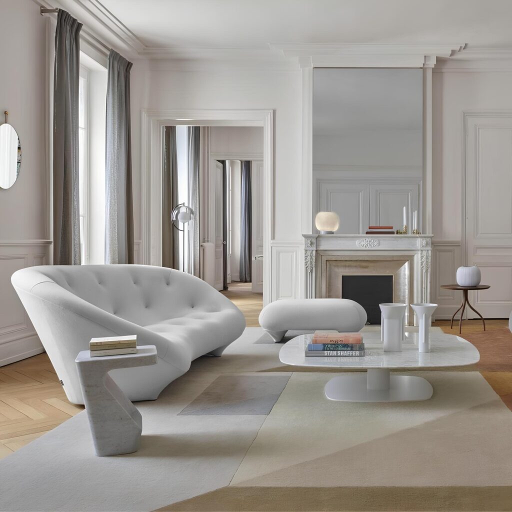 Ligne roset furniture img1